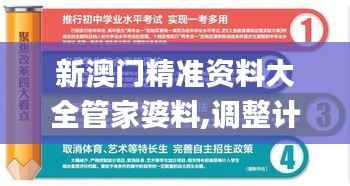 新澳门精准资料大全管家婆料,调整计划执行细节_2DM8.479