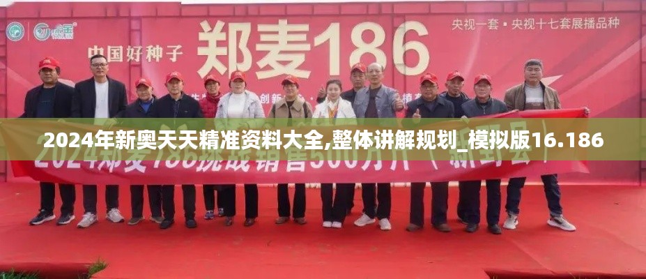 2024年新奥天天精准资料大全,整体讲解规划_模拟版16.186
