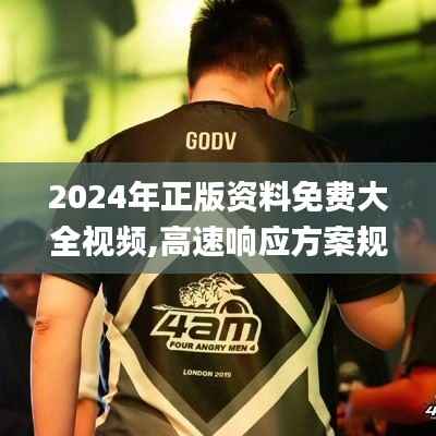 2024年正版资料免费大全视频,高速响应方案规划_终极版9.172