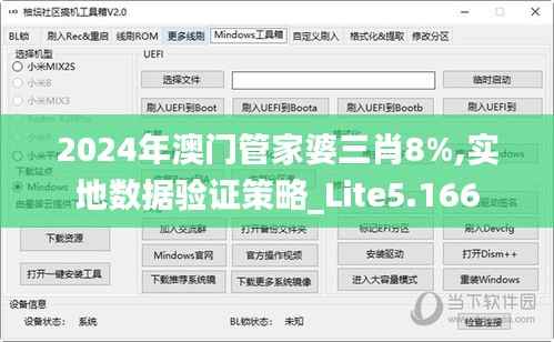 2024年澳门管家婆三肖8%,实地数据验证策略_Lite5.166