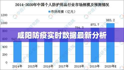 咸阳防疫实时数据最新分析
