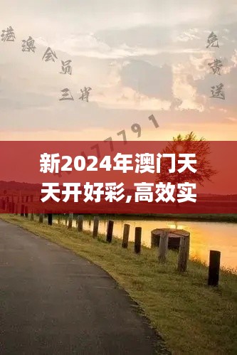 新2024年澳门天天开好彩,高效实施策略设计_WP13.334