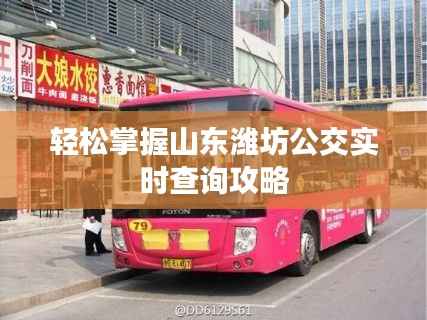 轻松掌握山东潍坊公交实时查询攻略