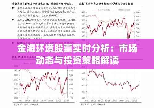 金海环境股票实时分析：市场动态与投资策略解读