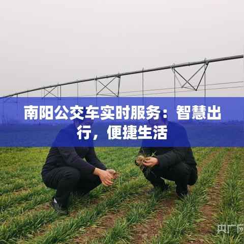 南阳公交车实时服务:智慧出行,便捷生活