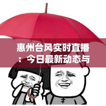 惠州台风实时直播:今日最新动态与应对措施全解析