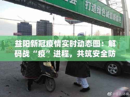 益阳新冠疫情实时动态图:解码战“疫”进程,共筑安全防线