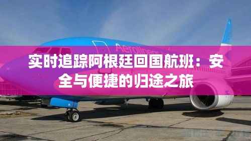 实时追踪阿根廷回国航班:安全与便捷的归途之旅