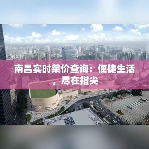 南昌实时菜价查询:便捷生活,尽在指尖