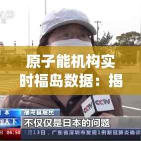 原子能机构实时福岛数据:揭示核事故后的环境监测与应对