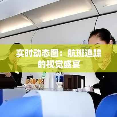 实时动态图:航班追踪的视觉盛宴