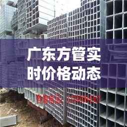 广东方管实时价格动态解析:市场波动与投资策略