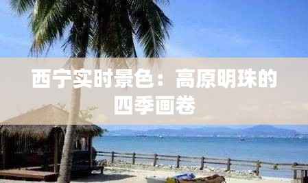 西宁实时景色:高原明珠的四季画卷