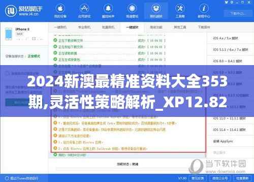 2024新澳最精准资料大全353期,灵活性策略解析_XP12.827