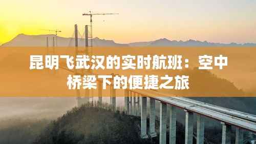 昆明飞武汉的实时航班:空中桥梁下的便捷之旅