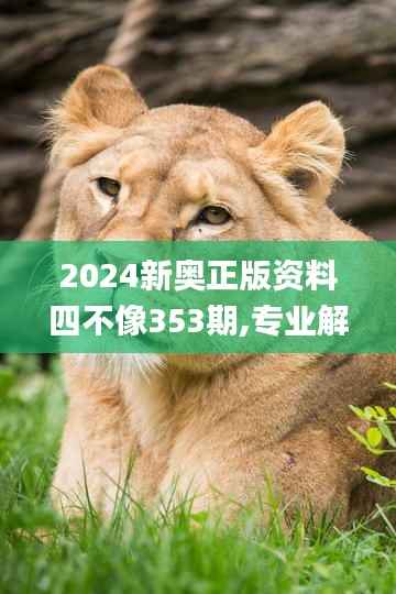 2024新奥正版资料四不像353期,专业解析说明_冒险款2.586