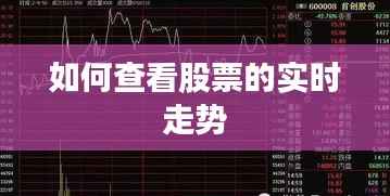 如何查看股票的实时走势