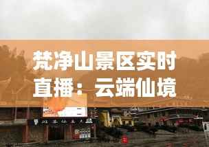 梵净山景区实时直播:云端仙境,尽收眼底