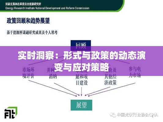 实时洞察:形式与政策的动态演变与应对策略
