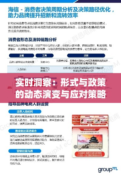 实时洞察:形式与政策的动态演变与应对策略
