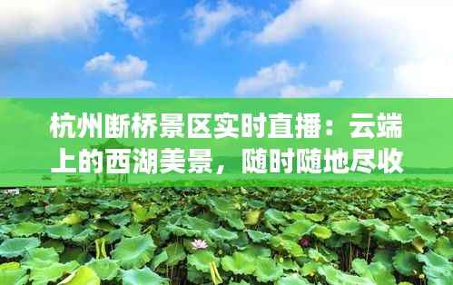 杭州断桥景区实时直播：云端上的西湖美景，随时随地尽收眼底