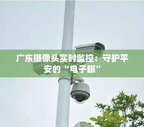 广东摄像头实时监控:守护平安的“电子眼”