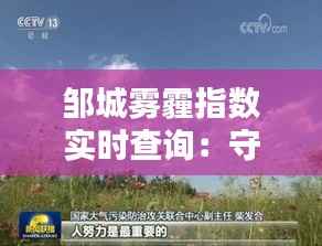 邹城雾霾指数实时查询:守护蓝天,从了解开始