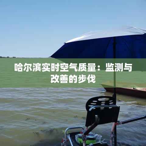哈尔滨实时空气质量:监测与改善的步伐
