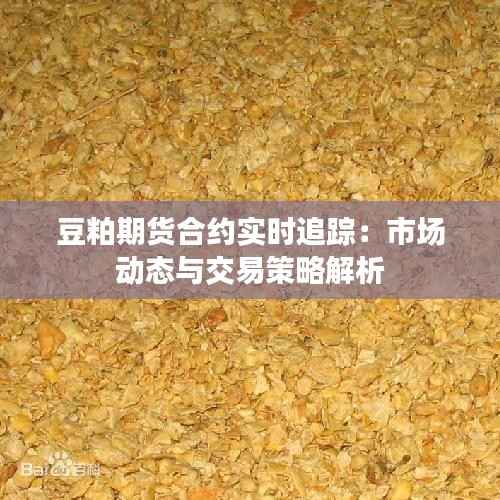 豆粕期货合约实时追踪:市场动态与交易策略解析