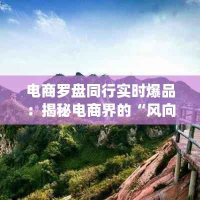 电商罗盘同行实时爆品：揭秘电商界的“风向标”