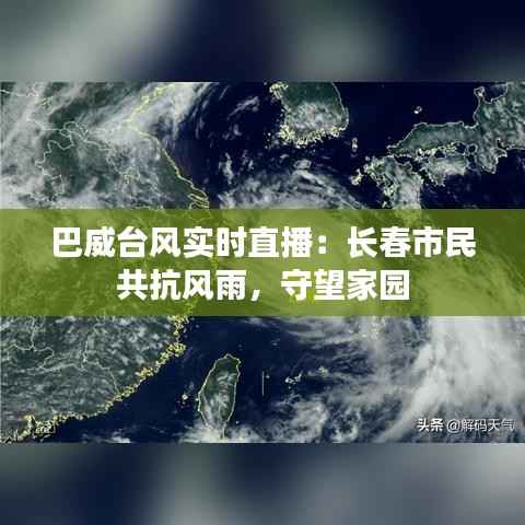 巴威台风实时直播：长春市民共抗风雨，守望家园