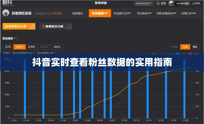 抖音实时查看粉丝数据的实用指南