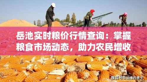 衣不曳地 第6页