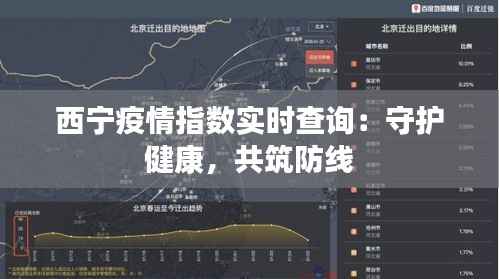西宁疫情指数实时查询：守护健康，共筑防线