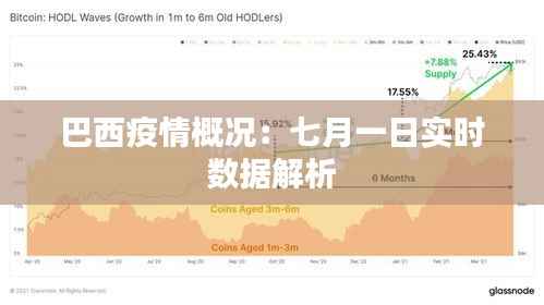 巴西疫情概况:七月一日实时数据解析