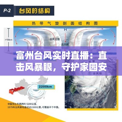 笼鸟槛猿 第5页