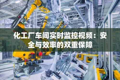 化工厂车间实时监控视频：安全与效率的双重保障