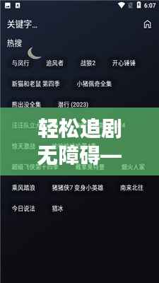 轻松追剧无障碍——刷剧实时翻译的使用指南