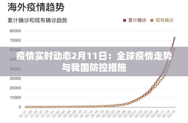 疫情实时动态2月11日:全球疫情走势与我国防控措施