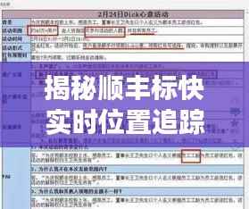 揭秘顺丰标快实时位置追踪难题:为何看不到?