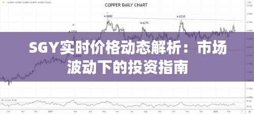 SGY实时价格动态解析：市场波动下的投资指南
