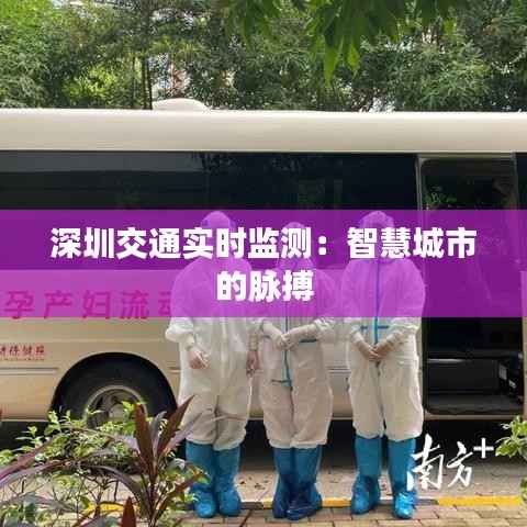 深圳交通实时监测:智慧城市的脉搏