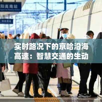 实时路况下的京哈沿海高速：智慧交通的生动实践