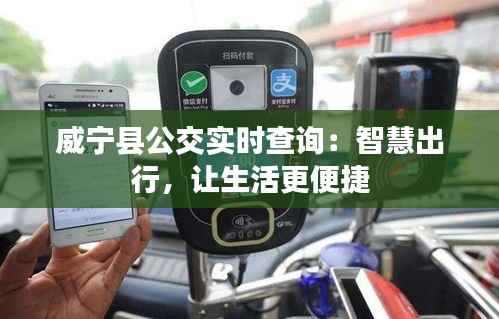 威宁县公交实时查询：智慧出行，让生活更便捷