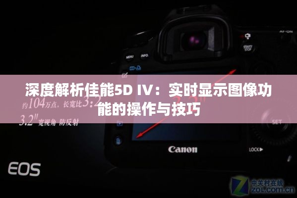 深度解析佳能5D IV:实时显示图像功能的操作与技巧