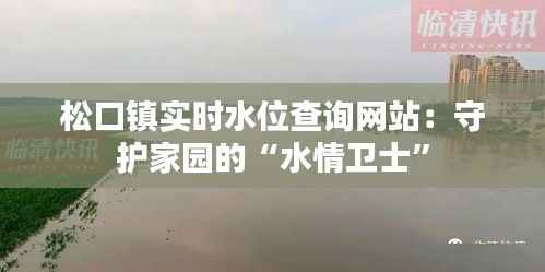 松口镇实时水位查询网站:守护家园的“水情卫士”