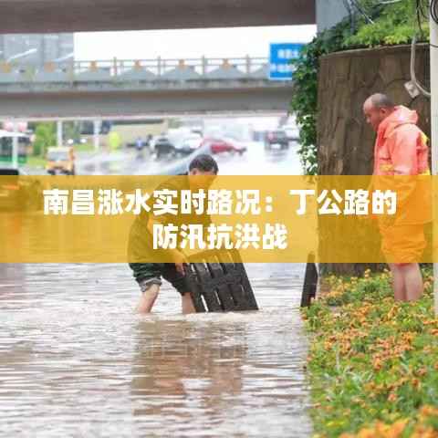 南昌涨水实时路况:丁公路的防汛抗洪战