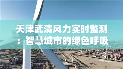 天津武清风力实时监测:智慧城市的绿色呼吸