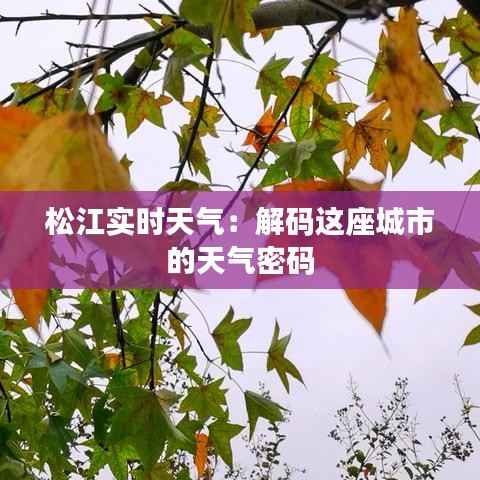 松江实时天气：解码这座城市的天气密码
