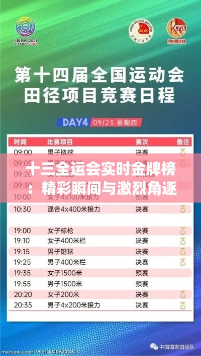 十三全运会实时金牌榜:精彩瞬间与激烈角逐